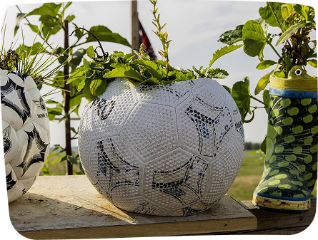 fußball_blumentopf